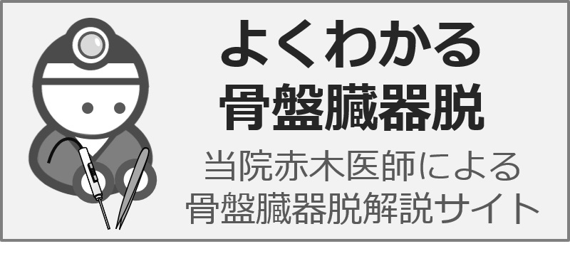 よくわかる骨盤臓器脱