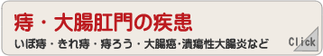 痔・大腸肛門の疾患