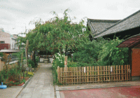 椿寺　本堂