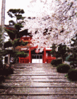 総門